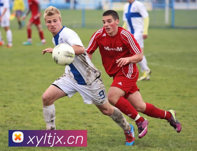 开云官方手机登录平台生态图