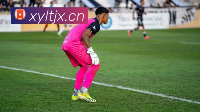 开云官方手机登录全站App